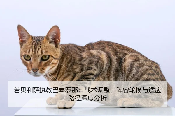 若贝利萨执教巴塞罗那：战术调整、阵容轮换与适应路径深度分析