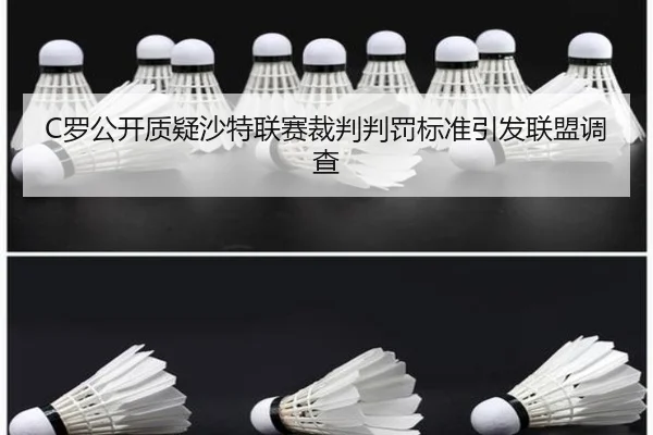 luo-gong-kai-zhi-yi-sha-te-lian-sai-cai-pan-pan-fa-biao-zhun-yin-fa-lian-meng-diao-cha-2-371.jpg